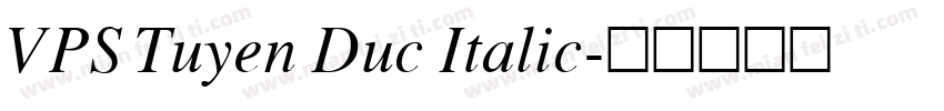 VPS Tuyen Duc Italic字体转换